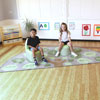 Natural World Semi-Circle Placement Carpet - 3m x 1.5m - MAT1253