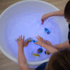 Sensory Mood Water Table - CD75565