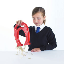 Giant Plastic Horseshoe Magnet