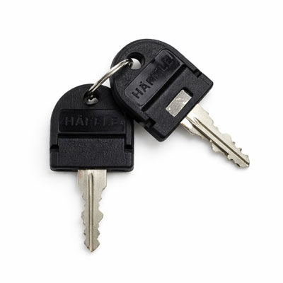 LapCabby Lyte Keys - for Lyte Mobile Units - Set of 2 Keys - LAPCABBY-KEY-LYTE-M