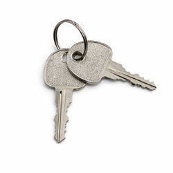 LapCabby Lyte Keys - for Lyte Static Units - Set of 2 Keys