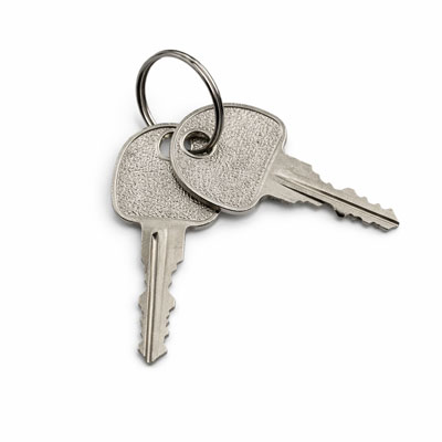 LapCabby Lyte Keys - for Lyte Static Units - Set of 2 Keys - LAPCABBY-KEY-LYTE-S