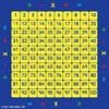 100 Square Counting Grid Carpet - 2x2m - MAT001