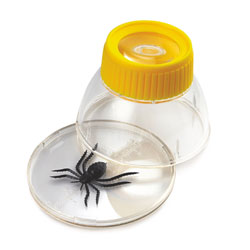 Supreme Bug Viewer (6x Magnification)