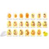 Chick Life Cycle Exploration Set - by Learning Resources - LER2733