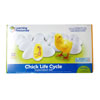*Box Damaged* Chick Life Cycle Exploration Set - by Learning Resources - LER2733/D