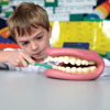 Giant Teeth Dental Demonstration Model - CD03083