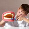 Giant Teeth Dental Demonstration Model - CD03083