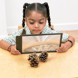 Large Sheet Magnifier