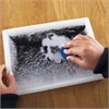 Magnetic Field Pattern Window (White Backed) - Includes 4 Magnets - CD50437