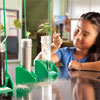 Hydroponics Lab - includes 3x Test Tubes, Seed Baskets & Stands - by Educational Insights - EI-5099
