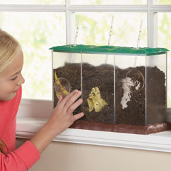 Now You See It, Now You Don't - See-Through Compost Container - by Educational Insights