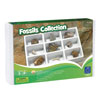 GeoSafari Fossils Collection - by Educational Insights - EI-5204