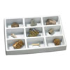 GeoSafari Fossils Collection - by Educational Insights - EI-5204