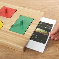 TTS Wooden Peg Puzzle Explorer Board