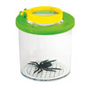 Bug Viewer - Green/Yellow - Pack of 10 - CD61006/10