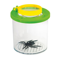 Bug Viewer - Green/Yellow - Pack of 24