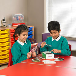 STEM in Action Wild Feet Exploration - Animal Characteristics, Material Properties and Grip - by Learning Resources
