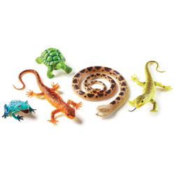 Jumbo Reptiles & Amphibians - Set of 5 - by Learning Resources