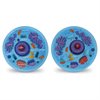 Soft Foam Cross-Section Animal Cell Display Model - by Learning Resources - LER1900