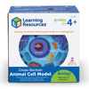Soft Foam Cross-Section Animal Cell Display Model - by Learning Resources - LER1900