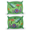 Soft Foam Cross-Section Plant Cell - by Learning Resources - LER1901