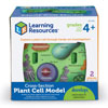 Soft Foam Cross-Section Plant Cell - by Learning Resources - LER1901