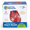 Soft Foam Cross-Section Heart Model - by Learning Resources - LER1902