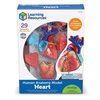 Heart Model 12.5cm - by Learning Resources - LER3334