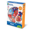 Heart Model 12.5cm - by Learning Resources - LER3334