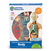 Human Body Model 11cm - by Learning Resources - LER3336