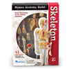 Skeleton Model 23cm - by Learning Resources - LER3337