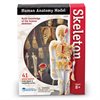 Skeleton Model 23cm - by Learning Resources - LER3337