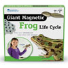 Giant Magnetic Frog Life Cycle Demonstration Set - by Learning Resources - LER6041