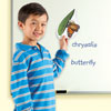 Giant Magnetic Butterfly Life Cycle Demonstration Set - by Learning Resources - LER6043