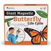 Giant Magnetic Butterfly Life Cycle Demonstration Set - by Learning Resources - LER6043