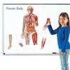 Double Sided Giant Magnetic Human Body Demonstration Set - by Learning Resources - LER6044