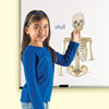 Double Sided Giant Magnetic Human Body Demonstration Set - by Learning Resources - LER6044