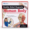 Double Sided Giant Magnetic Human Body Demonstration Set - by Learning Resources - LER6044