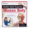 Double Sided Giant Magnetic Human Body Demonstration Set - by Learning Resources - LER6044