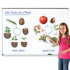 Giant Magnetic Plant Life Cycle Demonstration Set - by Learning Resources - LER6045