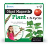 Giant Magnetic Plant Life Cycle Demonstration Set - by Learning Resources - LER6045