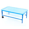 Clear Water Tray - 40cm Height Blue Stand - CD75096