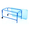 Clear Water Tray - 58cm Height Blue Stand - CD72263