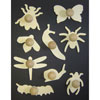 Wooden Mini Bug Templates - Set of 9 - MB1408-9