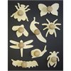 Wooden Mini Bug Templates - Set of 9 - MB1408-9
