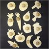 Wooden Healthy Eating Templates - Set of 14