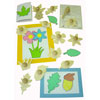 Wooden Leaf & Flower Templates - Set of 14 - MB1406-14