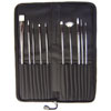 Watercolour Brush Set with Case - Set of 10