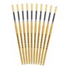 Hog Short Brushes: Round Tip, Size 8 - Pack of 10
